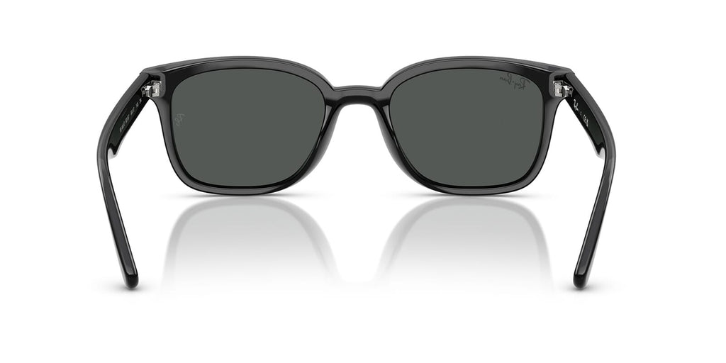 Ray-Ban RB 4461D 601/87